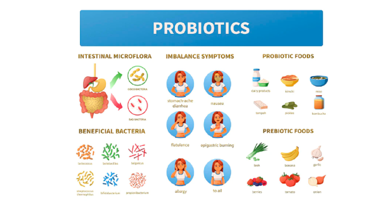 How Do Probiotics Benefit Your Health